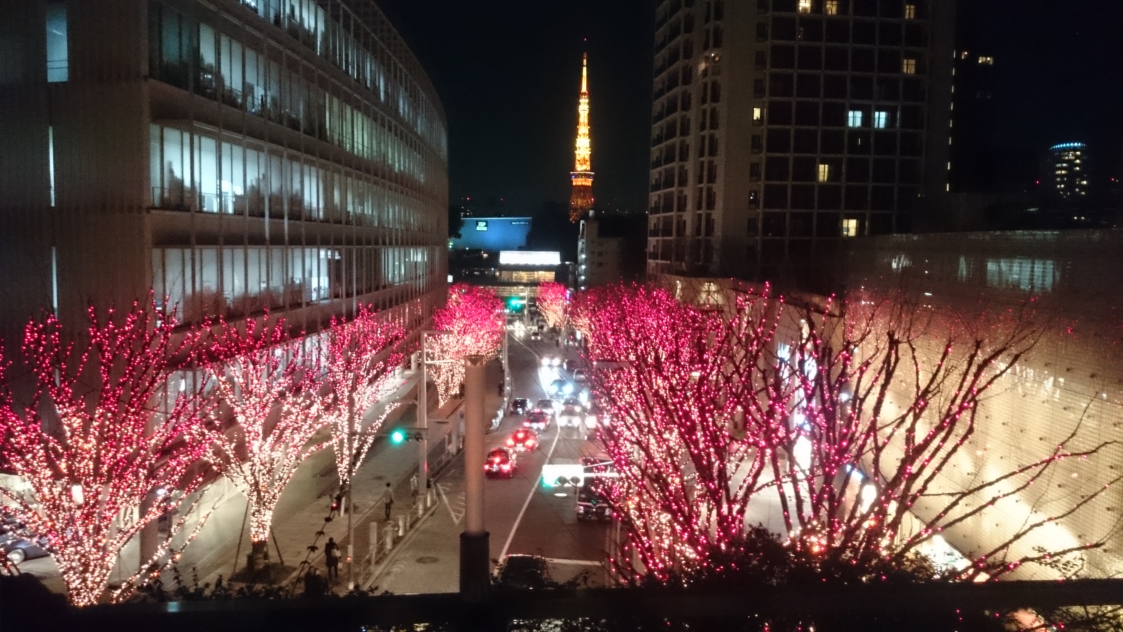 けやき坂と東京タワー