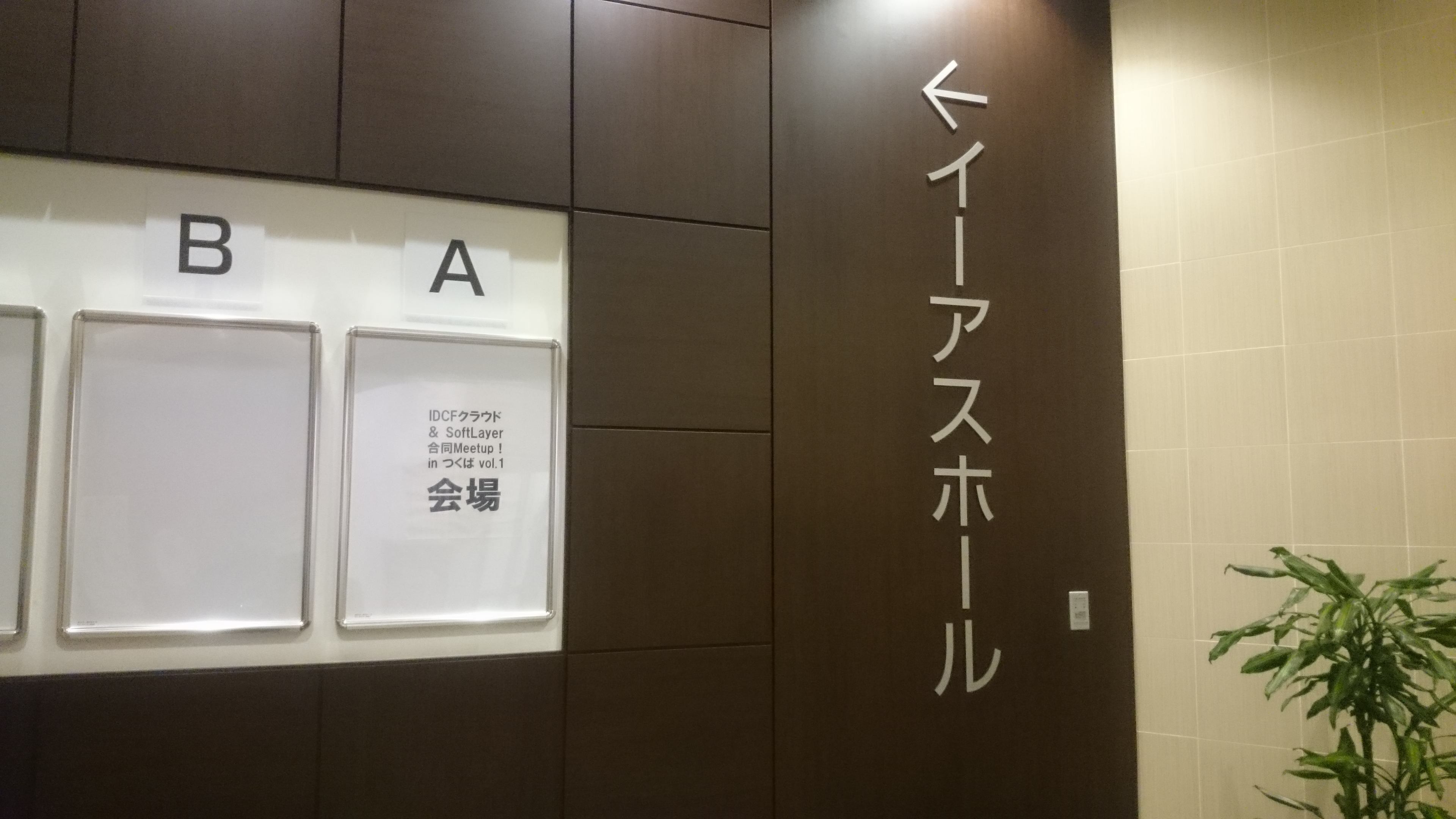 wp-1461390561085.jpeg